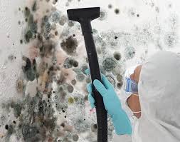 Why You Should Choose Our Mold Remediation Services in Sunrise Beach Village, TX